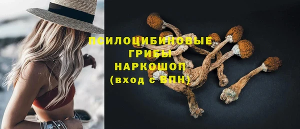 PSILOCYBIN Бронницы