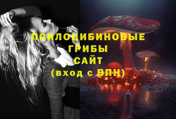 PSILOCYBIN Бронницы