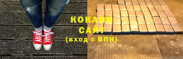 ешки Бородино
